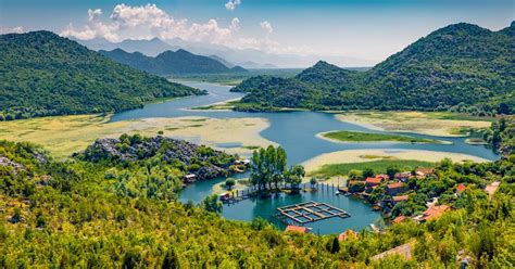 Záber na pelikány na Skadarskom jazere