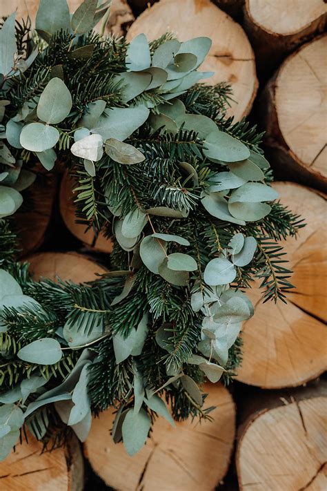 Detail rôznorodej zelene na veniec (čečina, eukalyptus, zimozeleň)