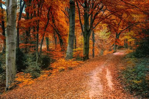 Ilustračná fotografia staršej generácie v príjemnom jesennom prostredí