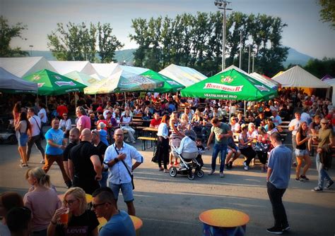 Ilustračná fotografia rôznych druhov vŕbových a iných konárov vhodných na pletenie vencov