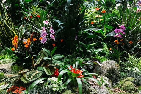 Tematické foto: Modré steny a exotické rastliny v záhrade Majorelle, ideálne pre módne a umelecké fotografie