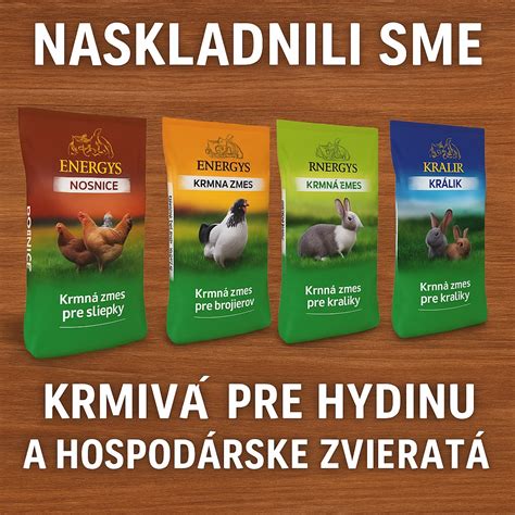 Fotografia rôznych druhov krmiva pre vtáčiky