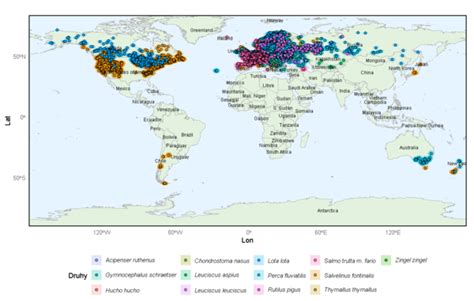 Mapa rozšírenia tradície veľkonočného zajačika z Nemecka do Ameriky