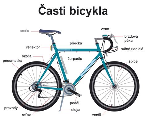 infografika: časti detskej papučky a ich funkcie