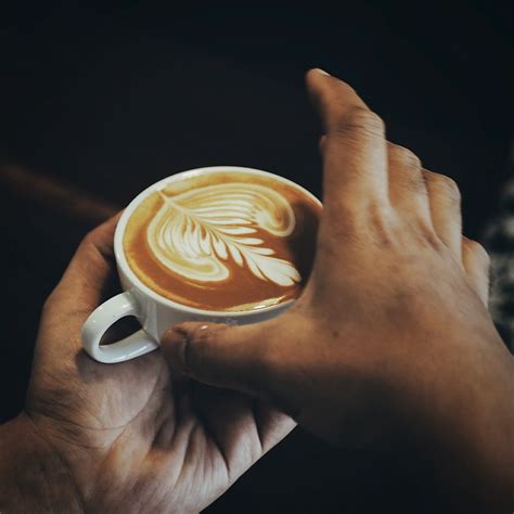 fotografia výberu kvalitných kávových zŕn