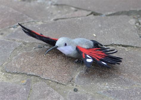 Ilustračná fotografia dieťaťa v kostýme letnej víly s rozprestretými krídlami.