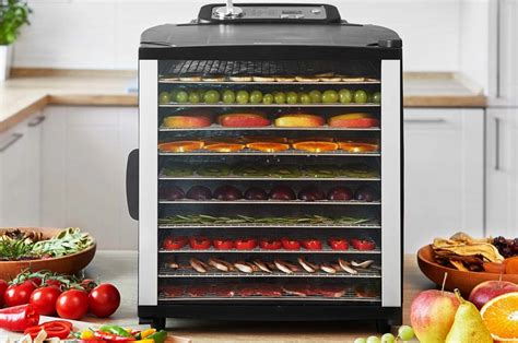 Moderná sušička ovocia s viacerými plátmi