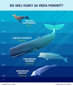 Infografika: Vertikálny prierez Dobšinskou ľadovou jaskyňou s vyznačenými časťami a hĺbkami