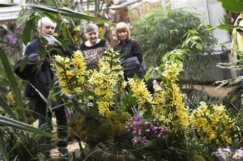 Tematické foto: svadobný pár v botanickej záhrade