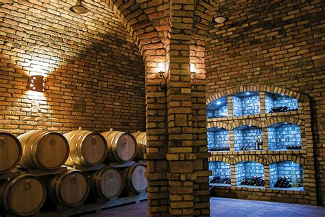 Historická vinohradnícka pivnica s drevenými sudmi a ukážkami vinárskych nástrojov