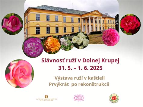 umenie a história ruží v Dolnej Krupej