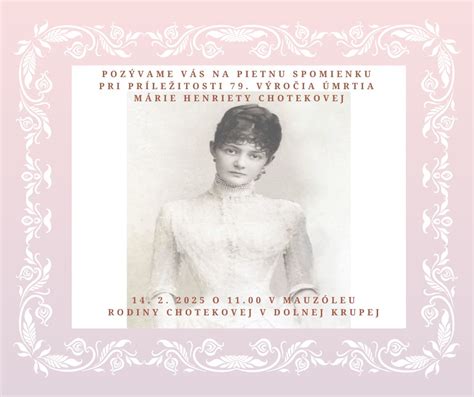 Portrét Márie Henriety Chotekovej, Ružovej grófky