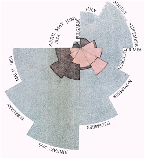 Infografika: Ružový diagram (polar area diagram) Florence Nightingale