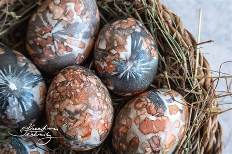 detailne zábery snežienok a ich výzdoba v škrupinách od vajec