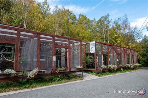 ilustračný záber návštevníkov v areáli zoologickej záhrady počas jarnej sezóny