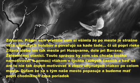 Symbolické znázornenie Dňa zmierenia, napríklad s motívom bielych holubov alebo otvorených dlaní.
