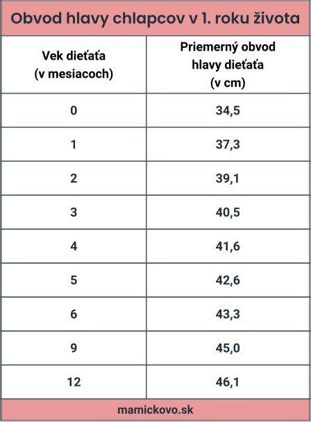 Inforgrafika o fyzických parametroch maskota Corgiho: výška 220 cm, váha 106 kg, obvod hlavy 190 cm
