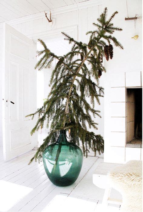 Fotografia živého vianočného stromčeka v kvetináči v interiéri