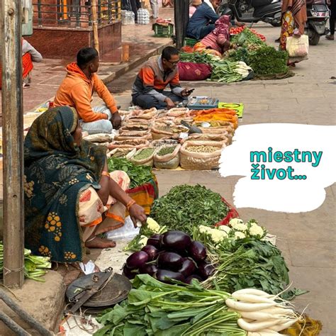 Vizualizácia albumu Doroty Nvotovej 