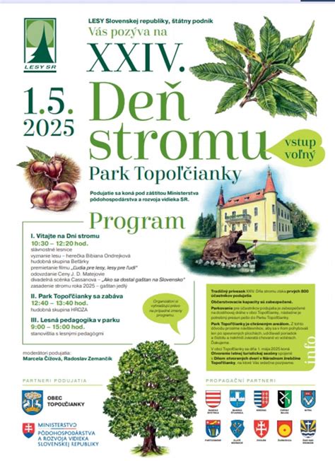 Ilustrácia májového stromu (mája) v slovenskej dedine