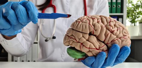 Schéma lekárskej kariéry a špecializácie neurochirurga
