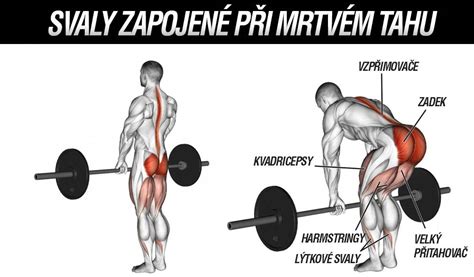 Diagram ukazujúci správnu techniku mŕtveho ťahu