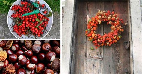 Koláž s nápadmi na jesenné dekorácie z prírodných materiálov (lístie, gaštany, šišky)