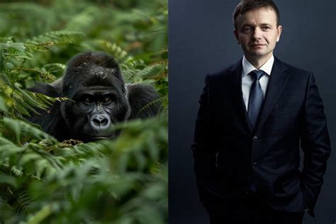 infografika priebehu kauzy Gorila s hlavnými aktérmi