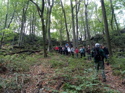 Skupina turistov s čelovkami kráčajúca nočným lesom