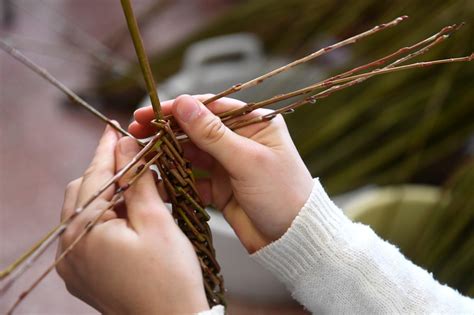 symbolika veľkonočného korbáča - mladé výhonky vŕby