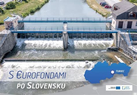 zber vŕbových prútov pri vodnom toku