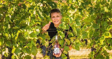 Exteriér vinárstva Tajná s vinohradmi