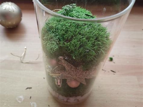 Foto prírodnej vianočnej miniatúry v skle s cezmínovými bobuľkami a machom