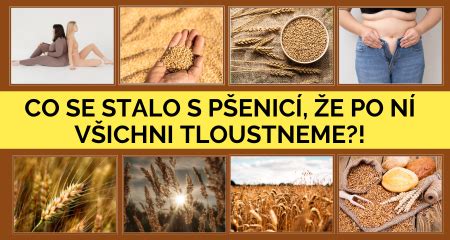 grécke slovo hagné, symbol čistoty