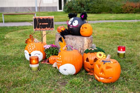 Tematické fotografie vyrezávaných halloweenskych tekvíc so sviečkami