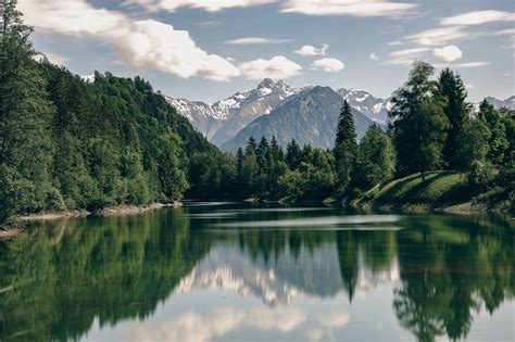 Fotografia: Pamätné stromy slávy s menovkami