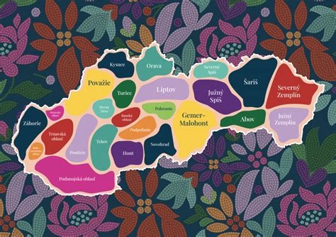 Infografika: Rôzne typy tradičných slovenských párt podľa regiónov
