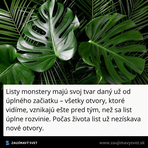Detailný záber na textúru umelého čečinového venca s realistickým ihličím