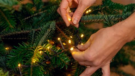 Detail LED svetelnej reťaze na vianočnom stromčeku