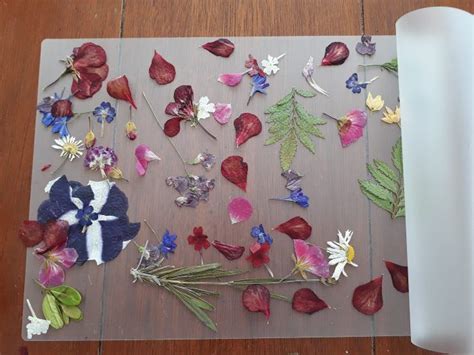 Ukážka hotovej kvetinovej záložky vyrobenej z vylisovaných kvetov