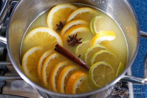 Detailná schéma piatich základných surovín pre klasický punč: lieh, cukor, citrusy, čaj/voda a korenie