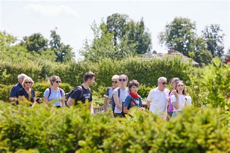Tematické foto: Skupina usmievavých maturantov s kyticami a maturitnými stužkami