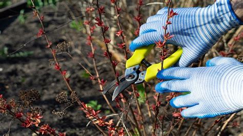 Ilustrácia rôznych spôsobov použitia vonkajších svetelných reťazí okolo stromov, kríkov a na orámovanie okien.