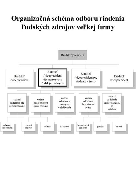 organizačná schéma riadenia výskumu a vývoja