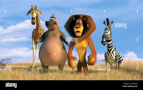 Záber na hlavnú štvoricu postáv z filmu Madagaskar: Alex, Marty, Melman a Gloria