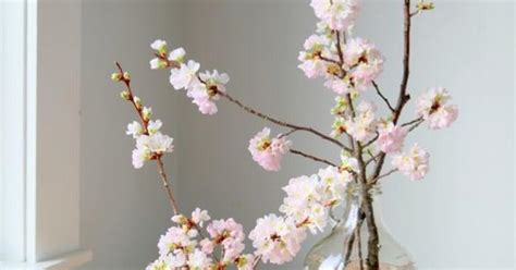 Mladé dievča vkladajúce čerešňové vetvičky do vázy