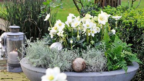 Rôzne zimné dekorácie na oknách, vrátane svetelných reťazí a prírodných prvkov