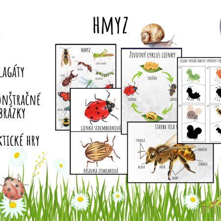 Ilustrácia zvieratiek v lese, ktoré objavili vajíčko v tráve