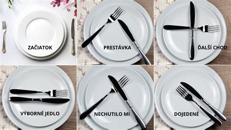 Infografika pravidiel podávania rúk a spoločenského poradia