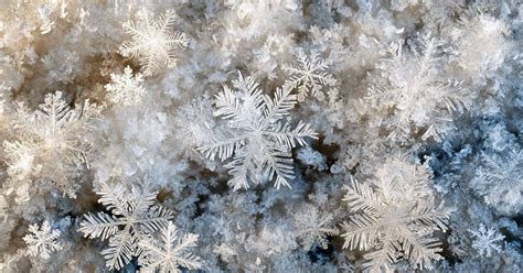 Detail zdobenia na kostýme Elzy - flitre a snehové vločky